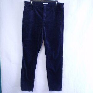 LOFT Blue Skinny Velvet Pants